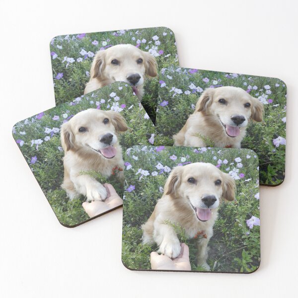 Item preview, Adorable dog offering a paw for a friendly greeting. designed and sold by inspiration3.