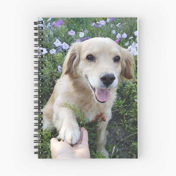 Item preview, Adorable dog offering a paw for a friendly greeting. designed and sold by inspiration3.