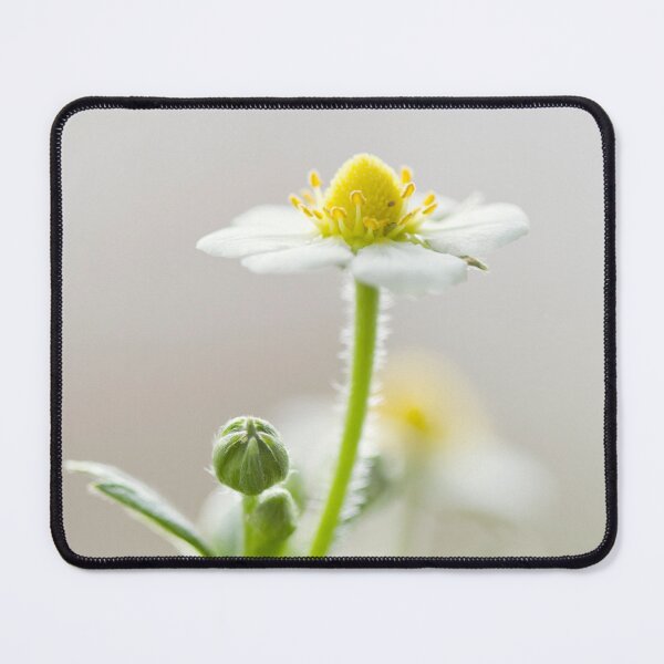 Item preview, White Strawberry Flower designed and sold by Kenziewenze.