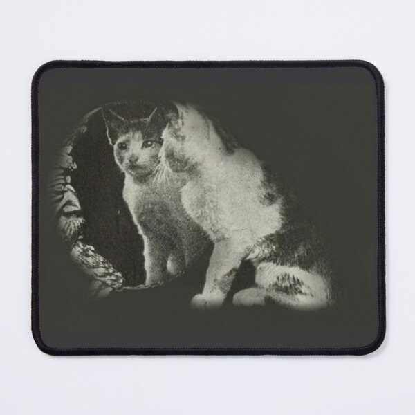 Item preview, Mirrored kitty designed and sold by pratensis.