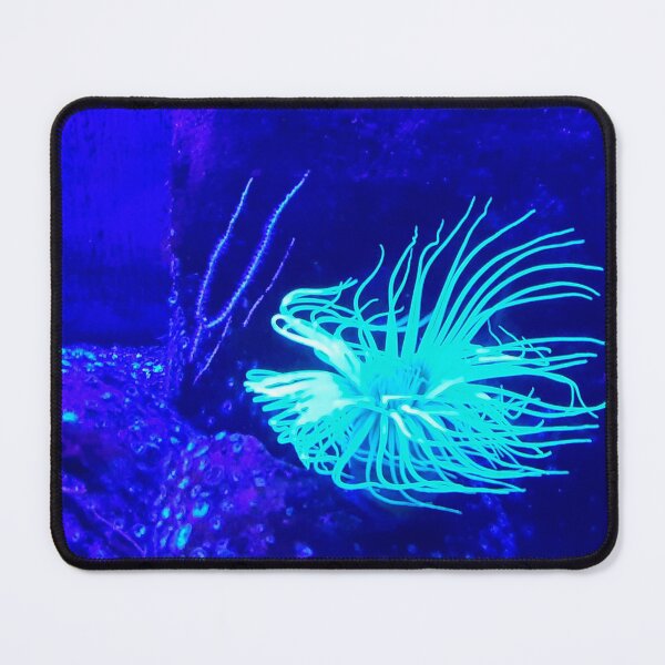 Item preview, Sea creature designed and sold by KeepCalmAndGo.