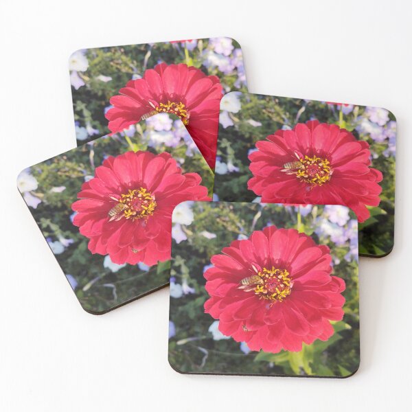 Item preview, Beautiful zinnia flower in the garden.  designed and sold by inspiration3.