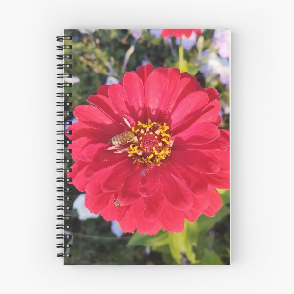 Item preview, Beautiful zinnia flower in the garden.  designed and sold by inspiration3.