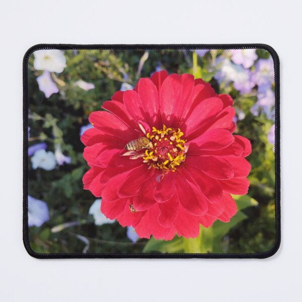 Item preview, Beautiful zinnia flower in the garden. designed and sold by inspiration3.