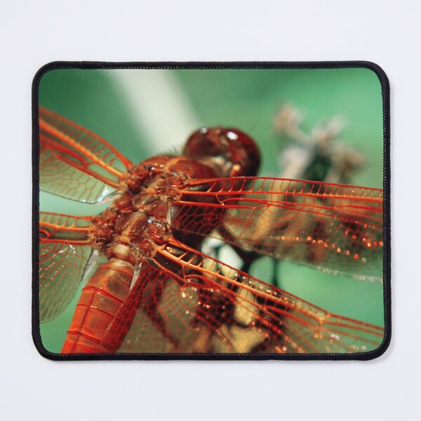 Item preview, Dragonfly designed and sold by Kenziewenze.