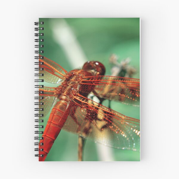 Item preview, Dragonfly designed and sold by Kenziewenze.
