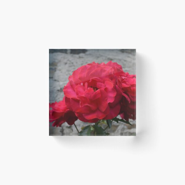 Item preview, Roses designed and sold by KeepCalmAndGo.