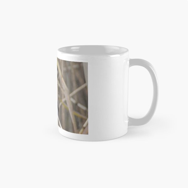 Item preview, Bearded Tit amongst the Reeds  designed and sold by Derren Jones.