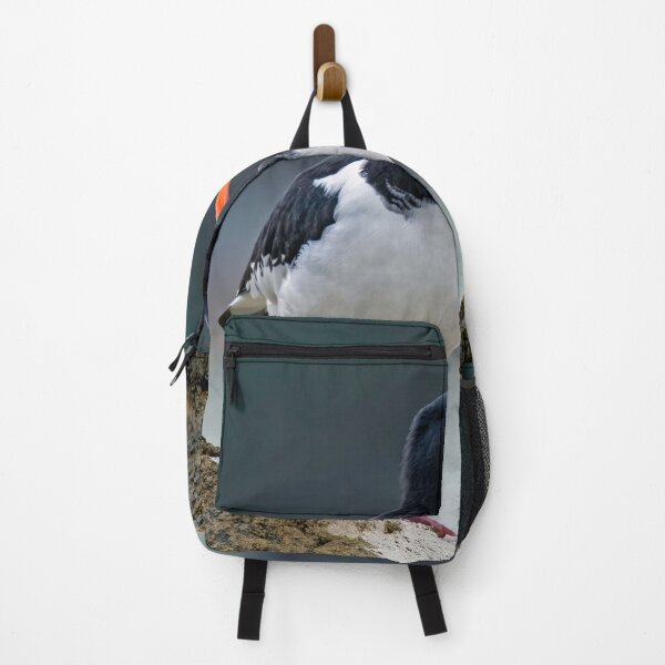 Item preview, Oystercatcher designed and sold by Tom McPherson Photography.