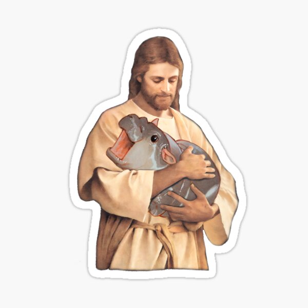 Aperçu de l'œuvre Jésus Christ tenant MooDeng créée et vendue par LuksTEESred.