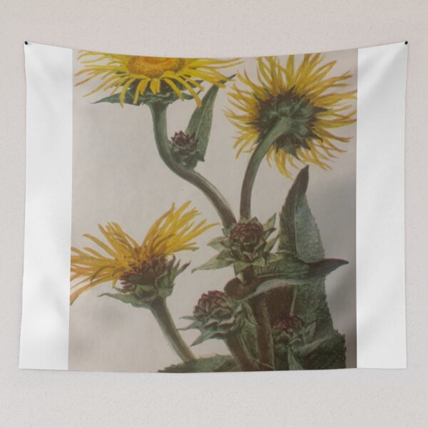 Item preview, Inula helenium style. designed and sold by Valgasnews011.