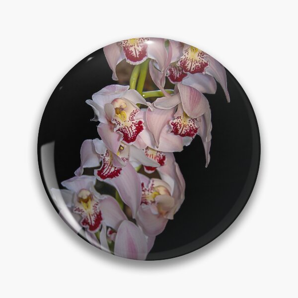 Item preview, Cymbidium Orchid designed and sold by Bernai Velarde.