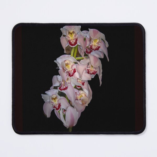 Item preview, Cymbidium Orchid designed and sold by Bernai Velarde.