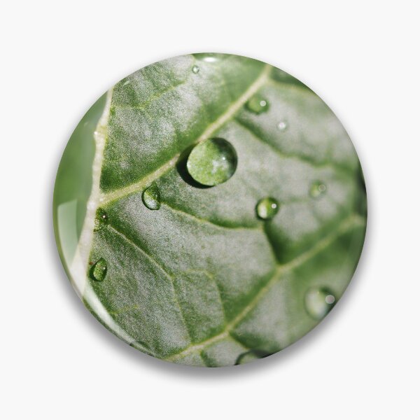 Item preview, Kale designed and sold by LoganGrendel.