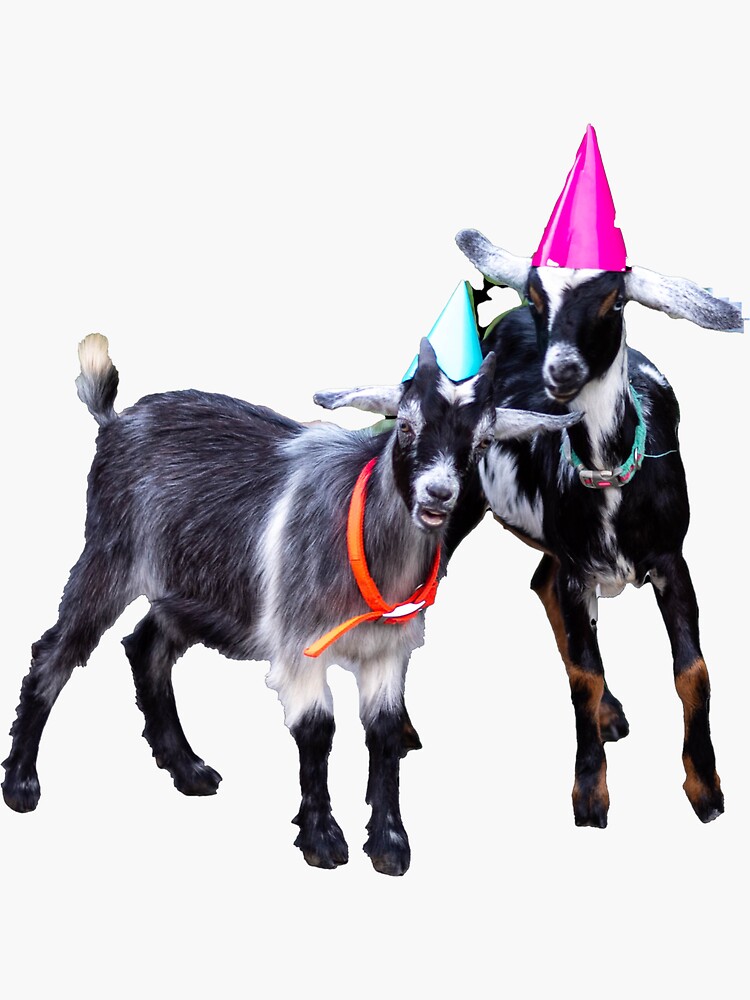 Thumbnail 3 of 3, Sticker, Party Goats designed and sold by BrushMunchers.