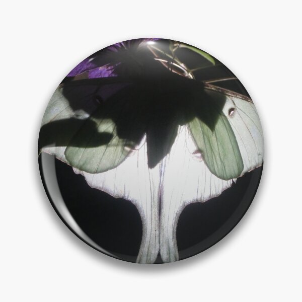 Item preview, Nocturne: Luna Moth on Clematis designed and sold by DavidFeldman.