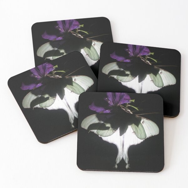 Item preview, Nocturne: Luna Moth on Clematis designed and sold by DavidFeldman.