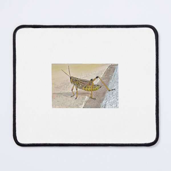 Item preview, Grasshopper #2 designed and sold by Chrisshay1.