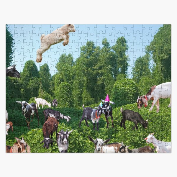 Tackling Kudzu Jigsaw Puzzle