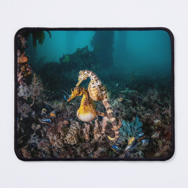 Item preview, Seahorse Love designed and sold by Russell Charters.