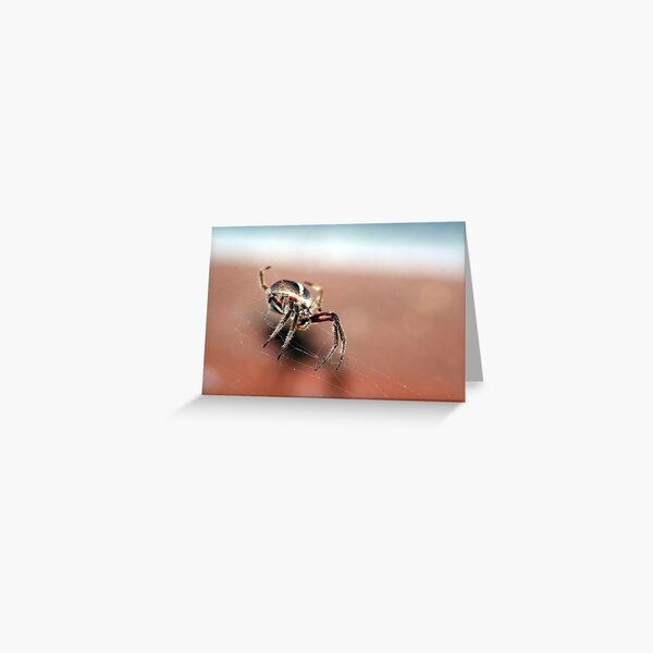 Spidey Greeting Card
