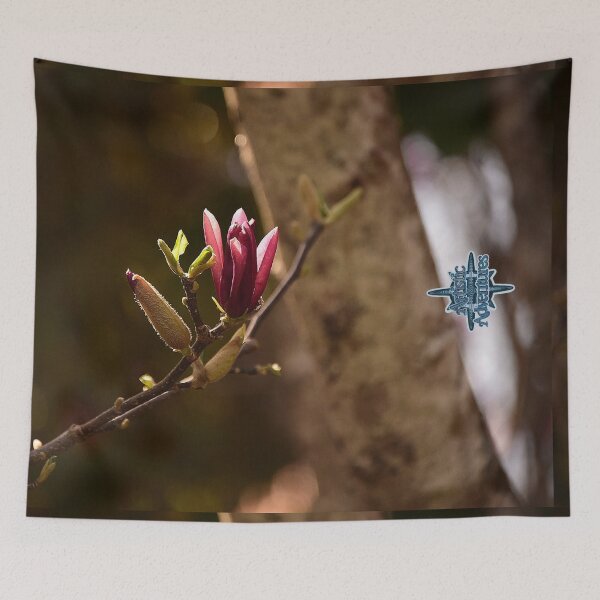 Artikelvorschau, Portwein-Magnolie Knospen entworfen und verkauft von aadventures.