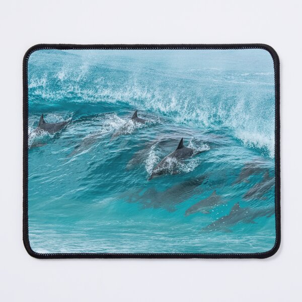 Item preview, Surfing Dolphins designed and sold by Russell Charters.