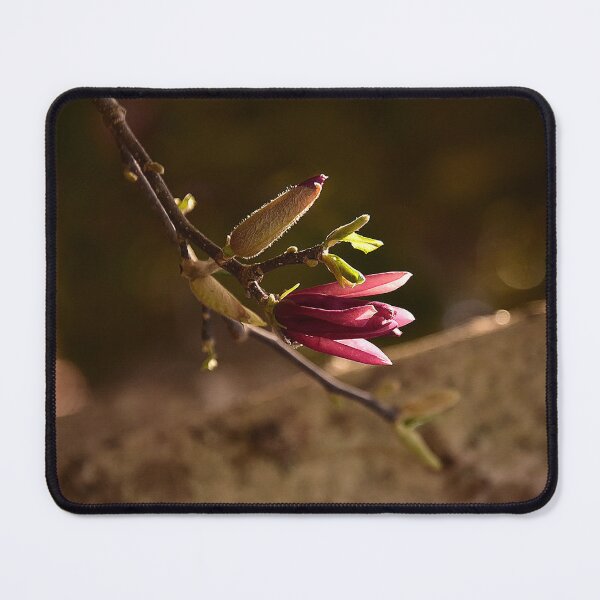 Item preview, Port wine magnolia buds designed and sold by aadventures.