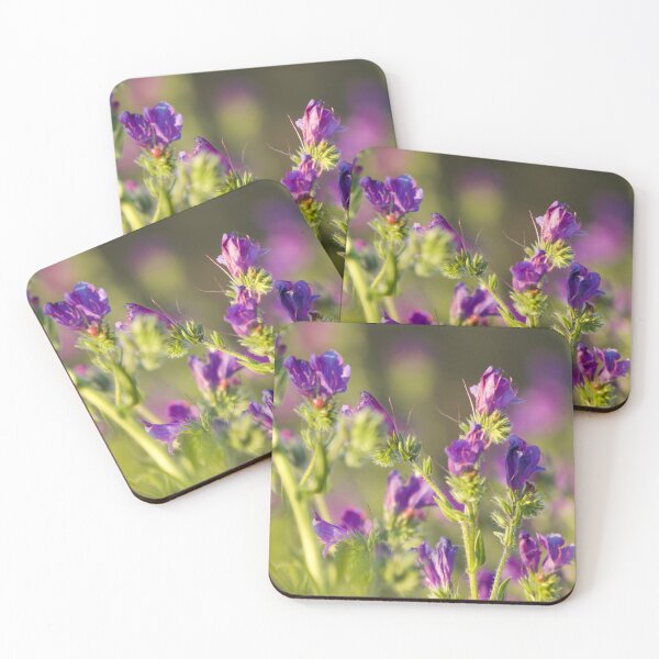 Item preview, Purple in the sunset ( Paterson' s Curse ) designed and sold by Kim Chi Thai.
