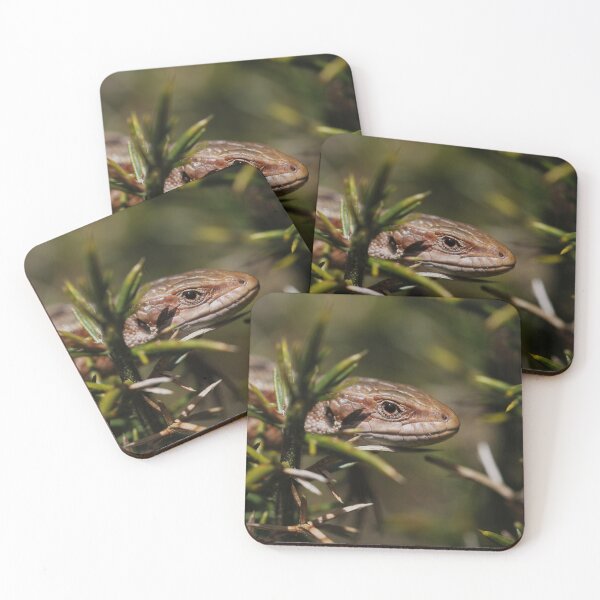 Item preview, Common lizard - Ashdown Forest designed and sold by Christian Moss.