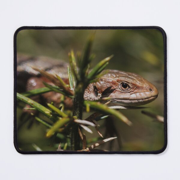 Item preview, Common lizard - Ashdown Forest designed and sold by Christian Moss.