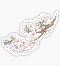 Cherry Blossoms Sticker