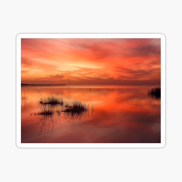 Sunset at Lake Albert Sticker