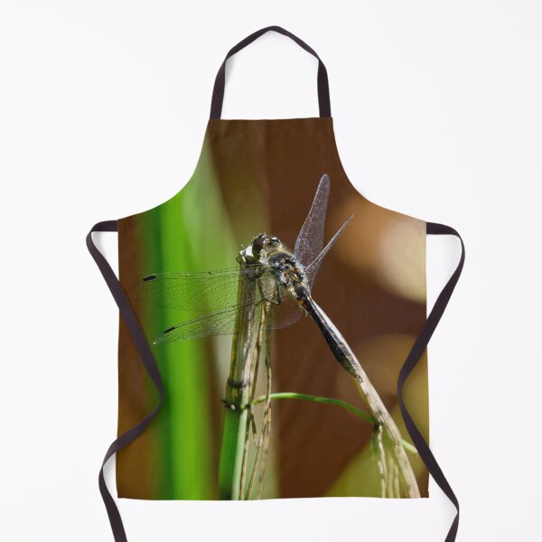Item preview, Enjoying the sun. Black darter designed and sold by Jouko Lehto Photography.