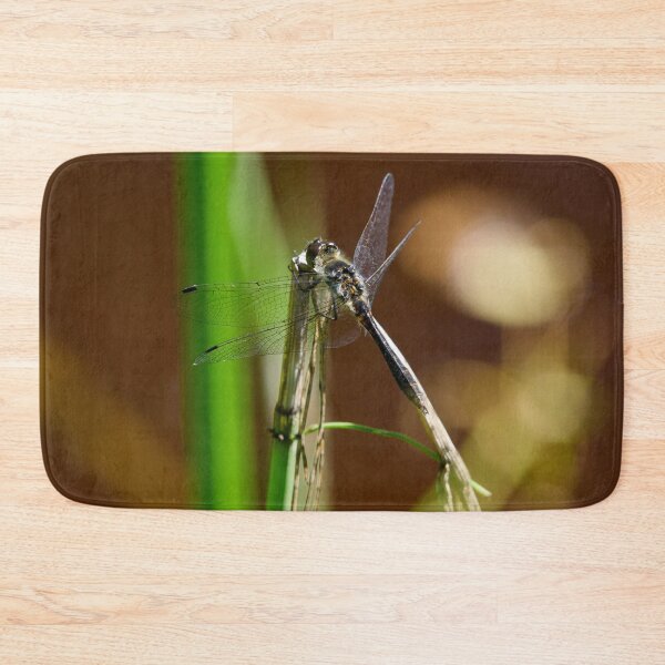 Item preview, Enjoying the sun. Black darter designed and sold by Jouko Lehto Photography.