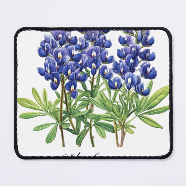 Item preview, Texas State Flower The Bluebonnet designed and sold by Counterbalance Dzigns.