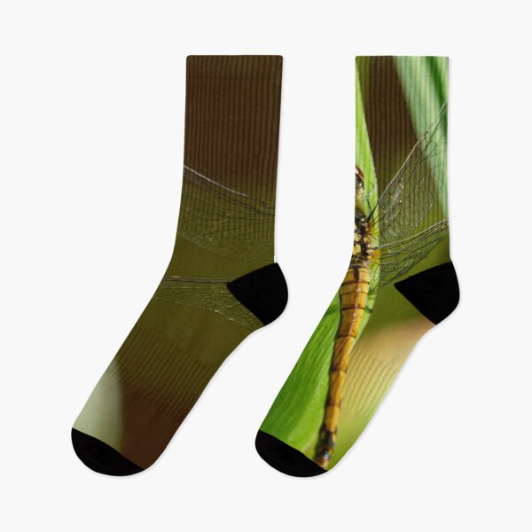 Item preview, Grasslands. Black darter designed and sold by Jouko Lehto Photography.