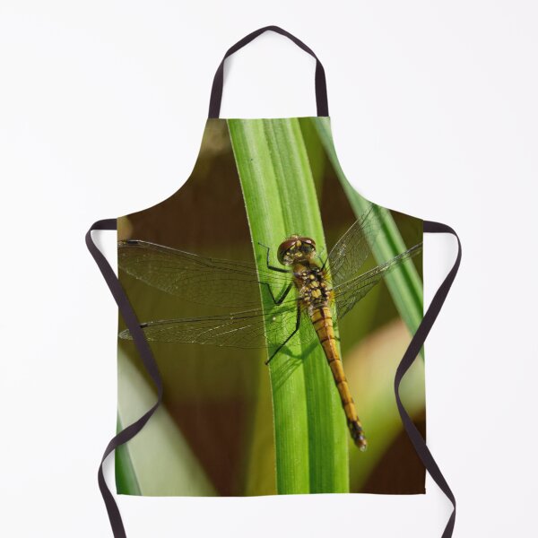 Item preview, Grasslands. Black darter designed and sold by Jouko Lehto Photography.