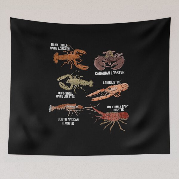 Item preview, Lobster Species Illustration Biology Crustaceans designed and sold by DSWShirts.