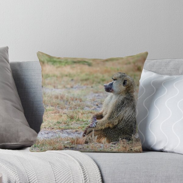 Item preview, Quiet Contemplation II designed and sold by Eidetic Photos.