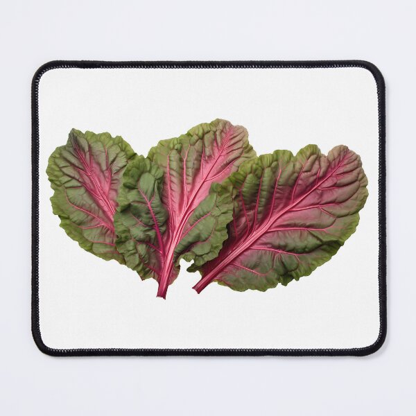 Item preview, Three realistic Dark green Rhubarb leaves with purple veins cutout designed and sold by EmeraldeaArt.
