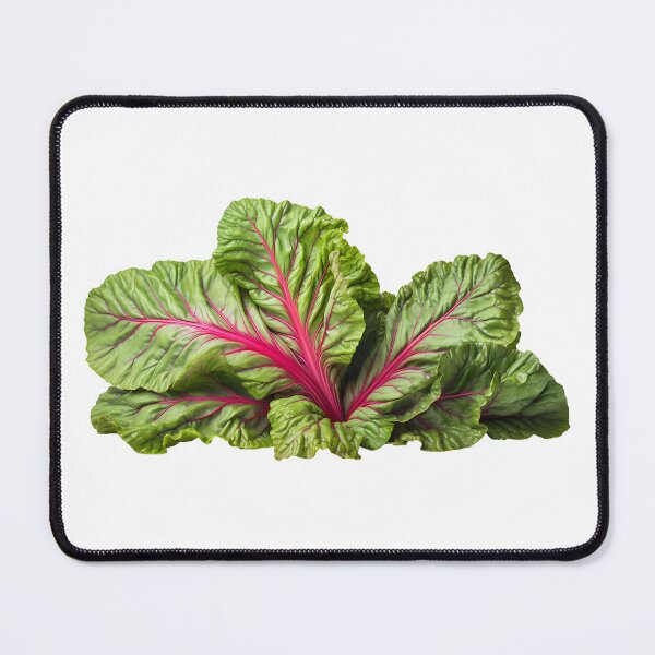 Item preview, Lighter Rhubarb leaves with purple veins in realistic style cutout  designed and sold by EmeraldeaArt.