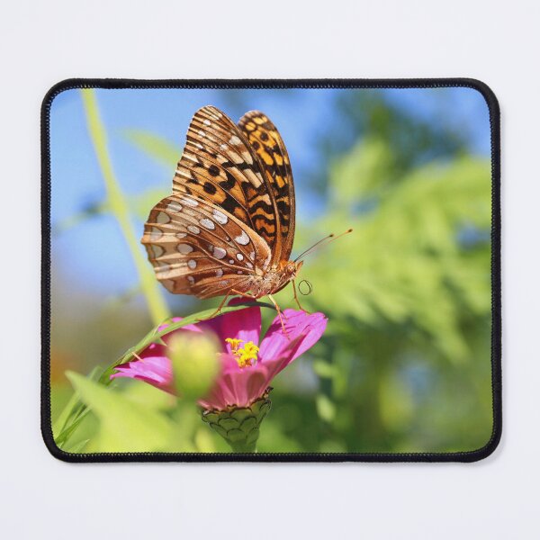 Item preview, Great Spangled Fritillary Butterfly on a Cosmos Flower designed and sold by CarolRMontoya.