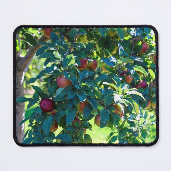 Item preview, Apple season On The Farm designed and sold by CarolRMontoya.
