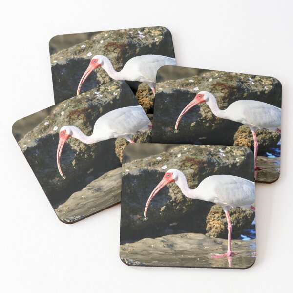Item preview, American White Ibis Walking designed and sold by CarolRMontoya.