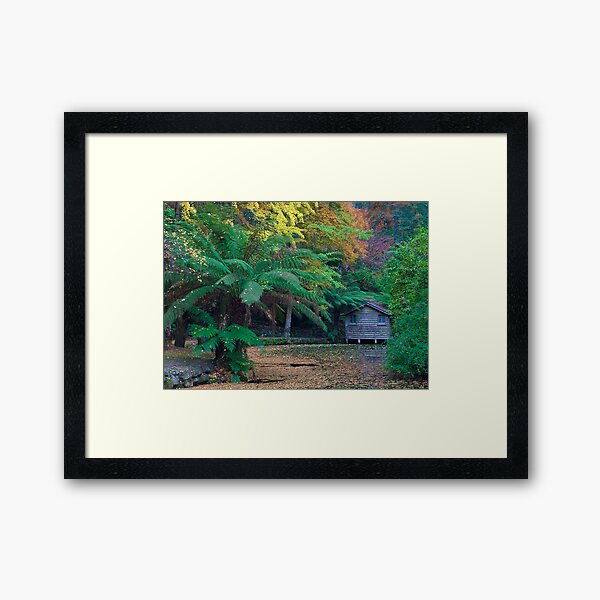 Item preview, Boatshed, Alfred Nicholas Gardens designed and sold by Vicki Moritz.