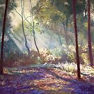 'Winter Sun' by Lynda Robinson