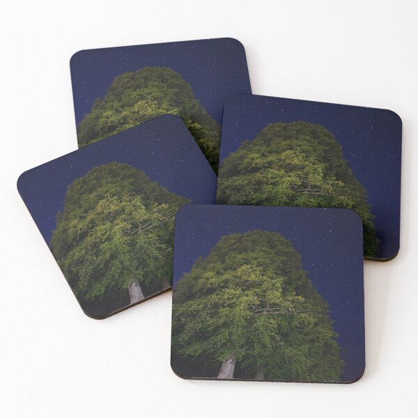 Item preview, Beech tree under a starry sky designed and sold by GreyFeatherPhot.