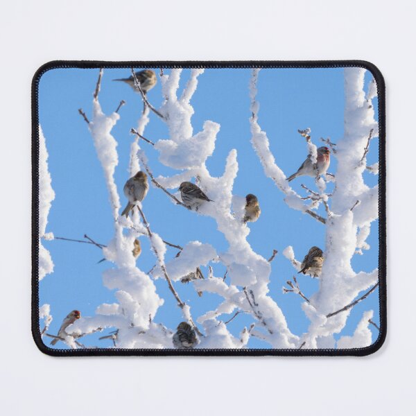 Item preview, A flock of birds landed on the branches of a tree covered with thick snow in close-up against the blue sky designed and sold by Klyakhin.