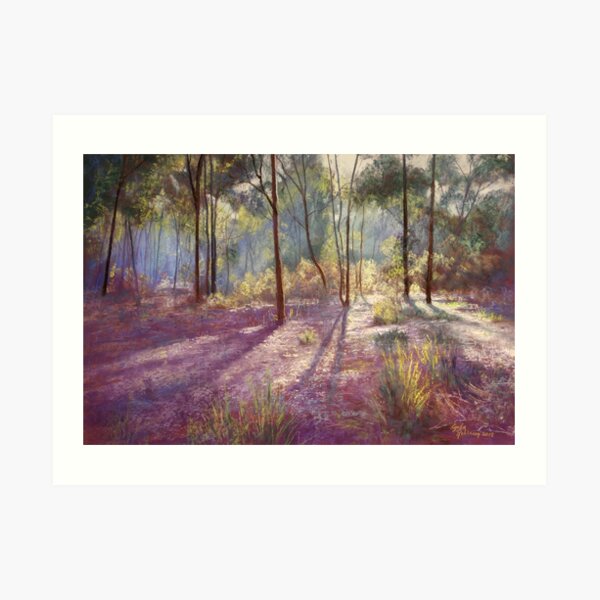 'Ironbark Shadows' Art Print